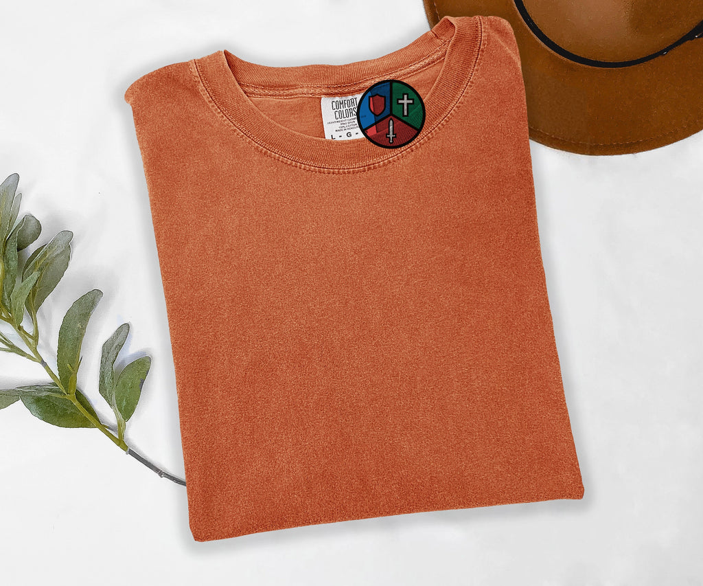 Embroidered Tank Healer DPS Tee, MMO Gamer Gift, Stitched Gaming Shirt, Comfort Colors MMORPG Tee, Nerdy Gift