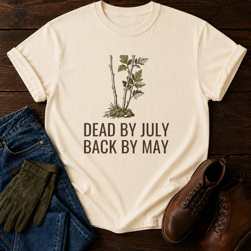 Back By May T-Shirt — Ivory